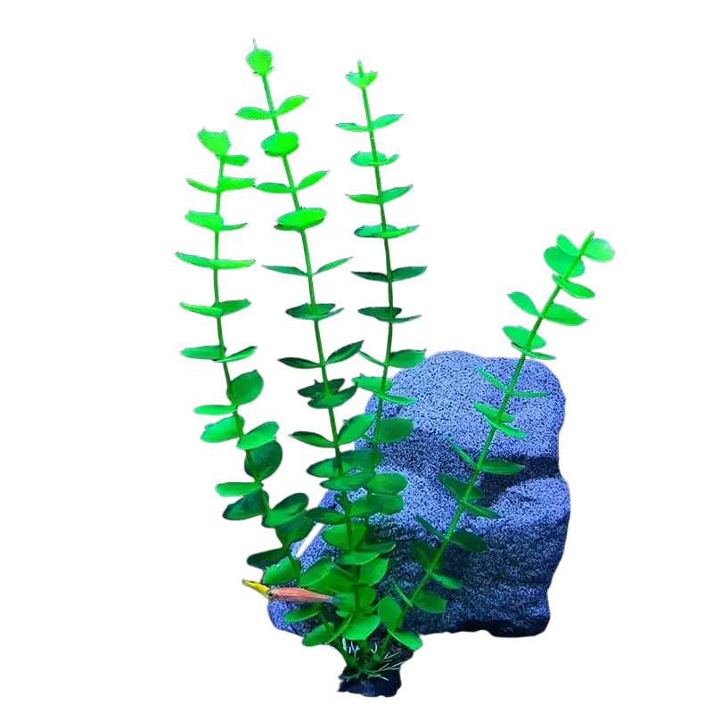 Vibrant green plastic artificial aquarium plant with leafy stems and rounded leaves that supports water quality