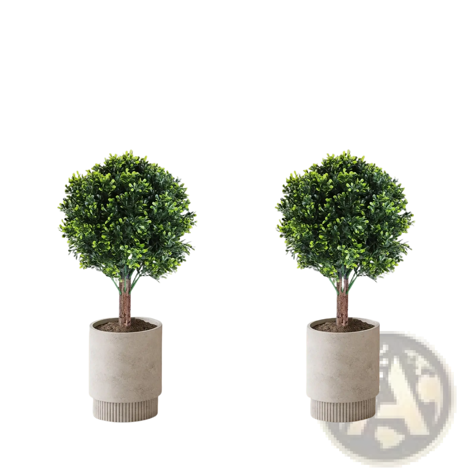 Two artificial boxwood ball topiary trees with spikes in light gray ribbed concrete pots with dense green foliage and brown stems