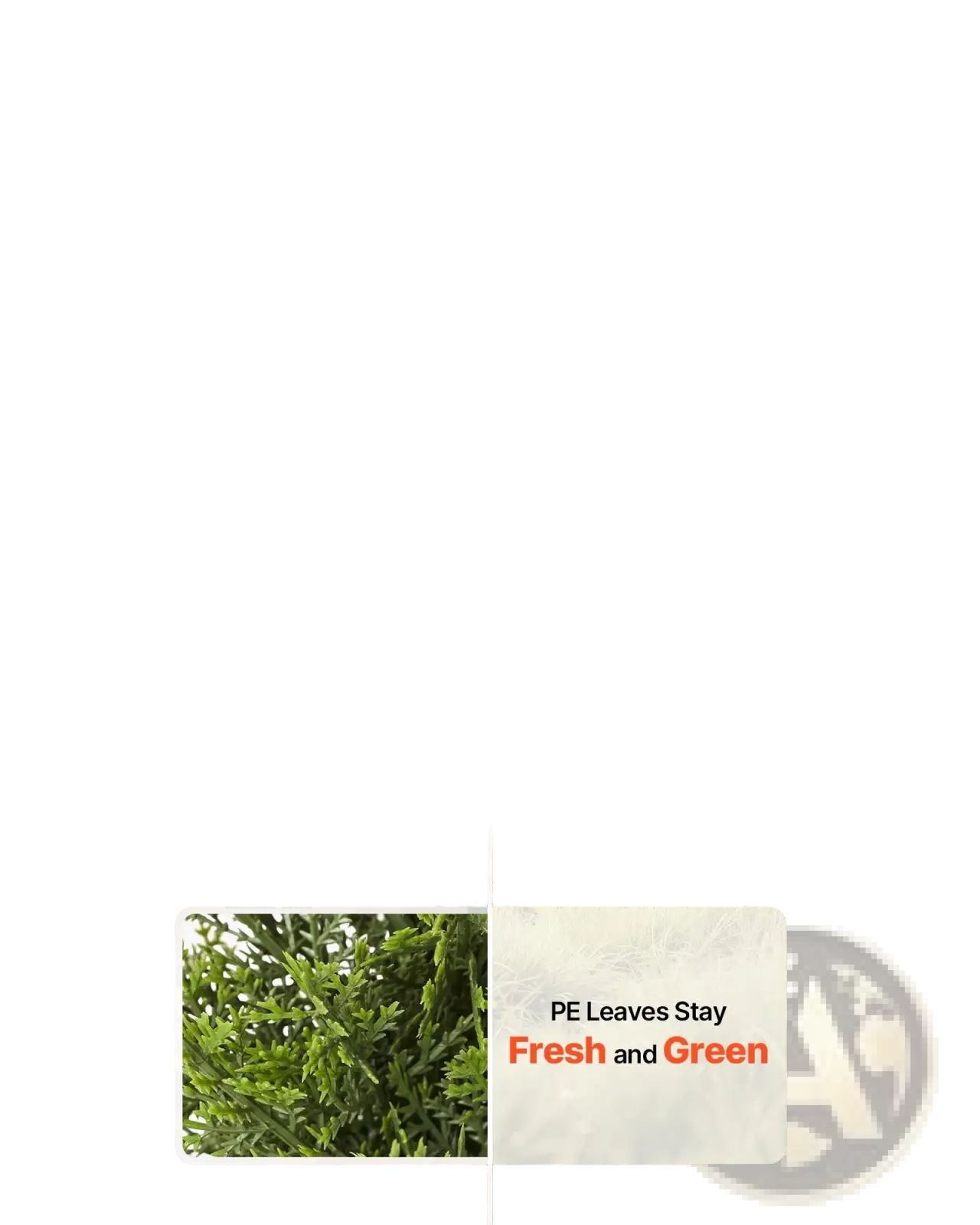 Artificial cedar topiary tree 36 inch tall slender faux evergreen with dense green pe leaves in black pot set of 2