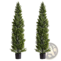 Two artificial cedar topiary trees 60 inch tall in black pots with realistic green foliage for indoor or outdoor decor