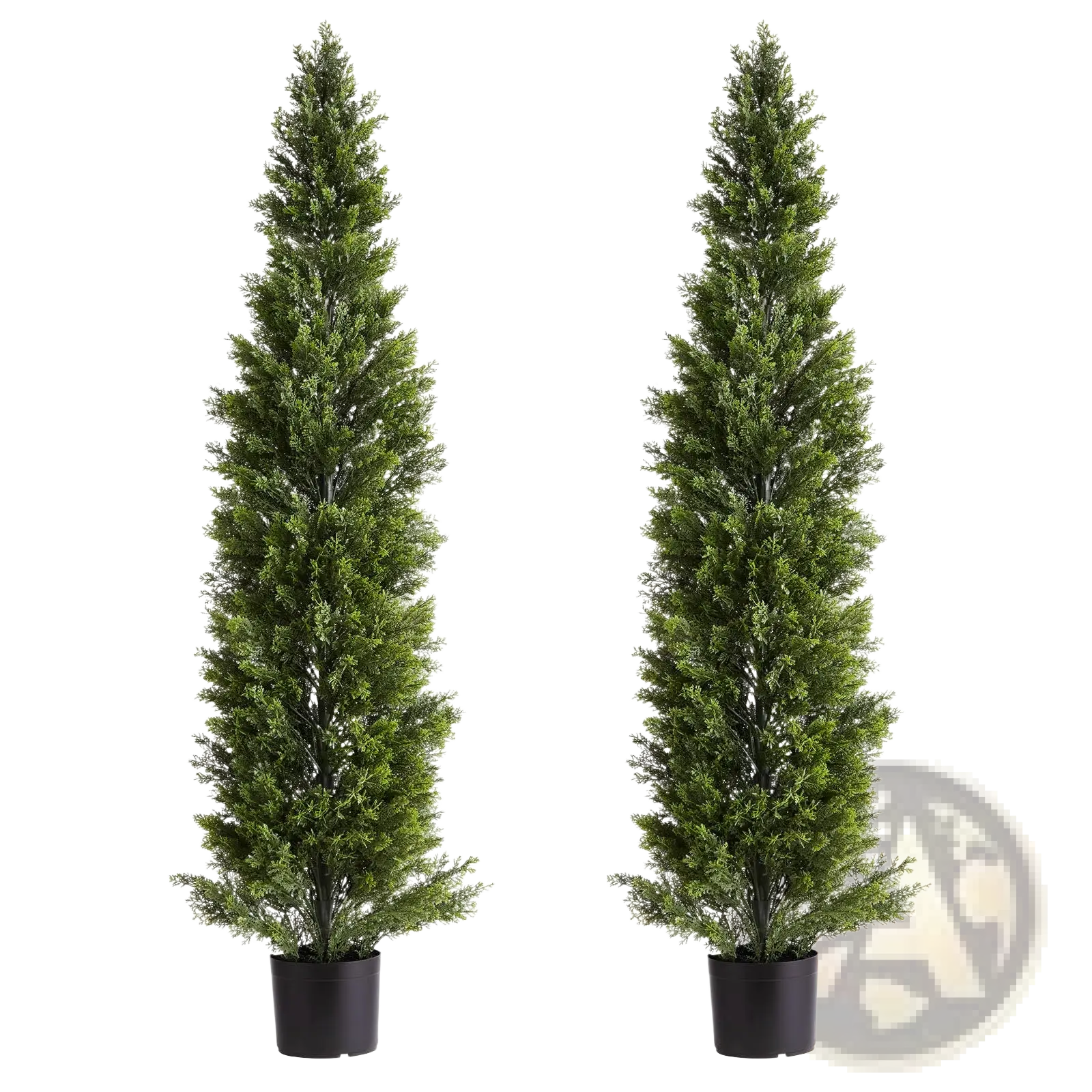 Two artificial cedar topiary trees 60 inch tall in black pots with realistic green foliage for indoor or outdoor decor