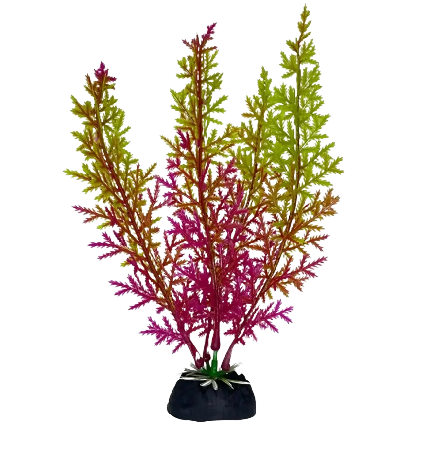 Vibrant multicolored artificial plastic fish tank plant with green pink and red fronds for warm water aquarium decor