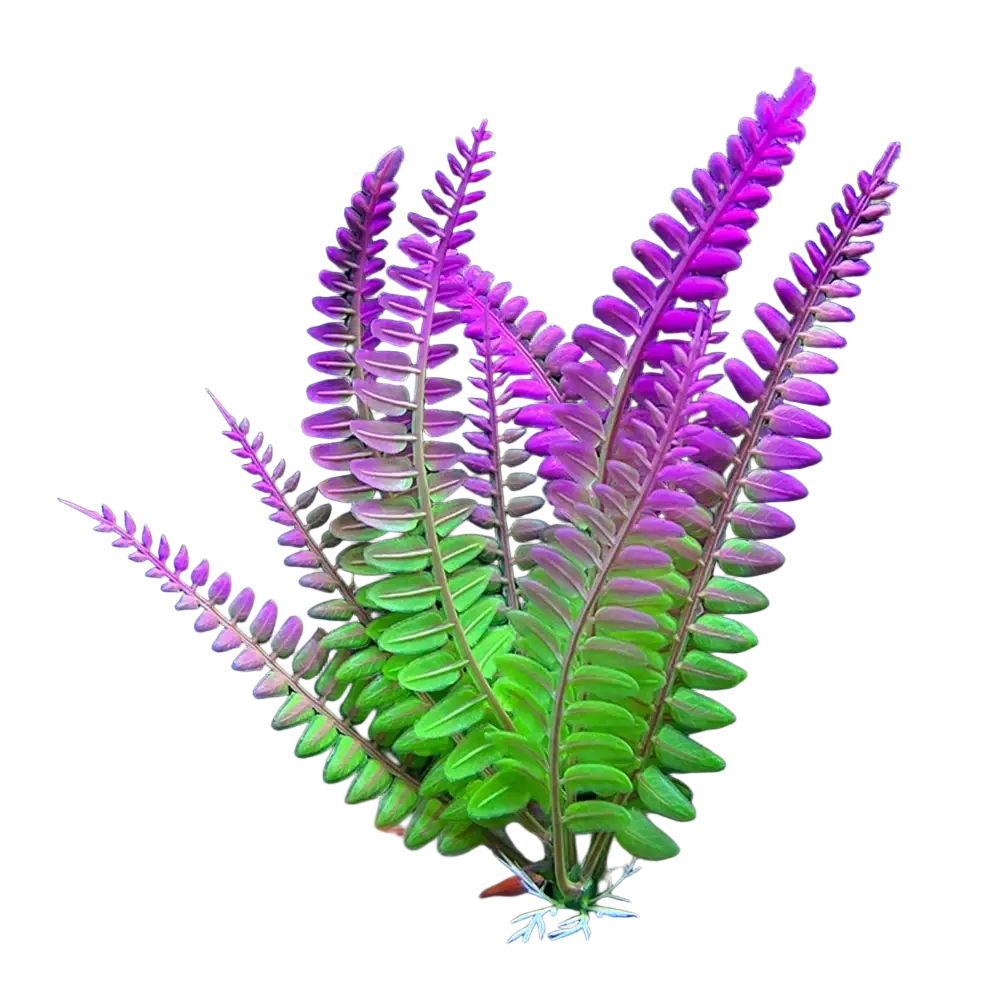 Vibrant gradient plastic aquarium plant with purple and green foliage for fish tank warm water decor