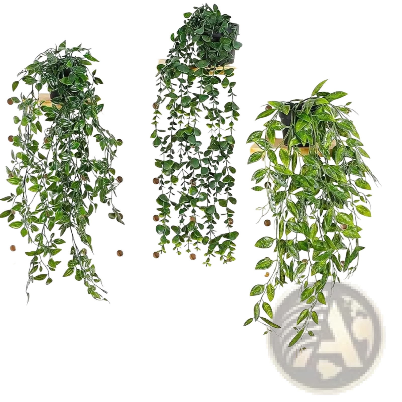 Three artificial green trailing plants with glossy leaves hanging from wooden shelves on a pegboard wall