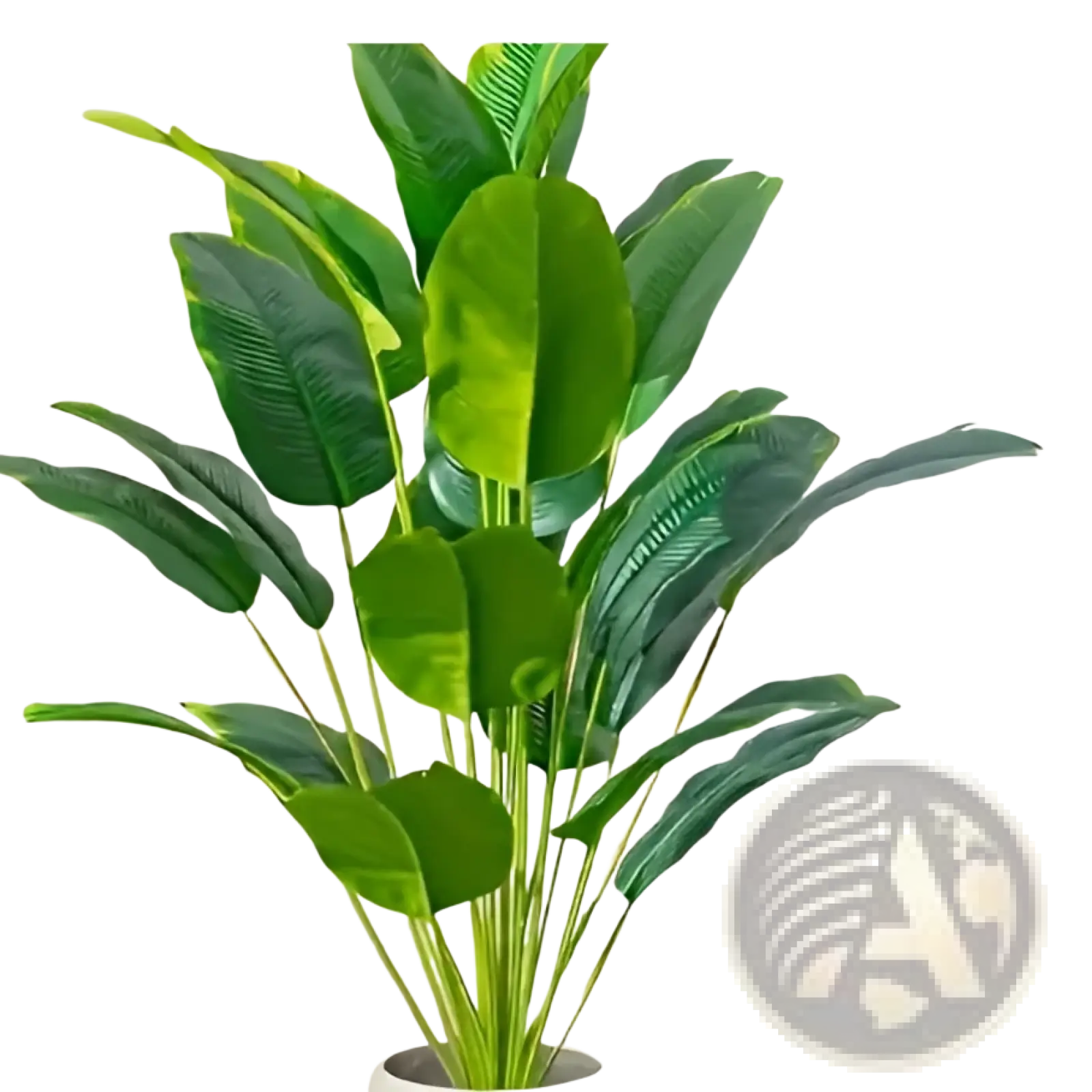 Artificial monstera turtle leaf potted plant with broad glossy green leaves and slender stems in a white pot for garden decor