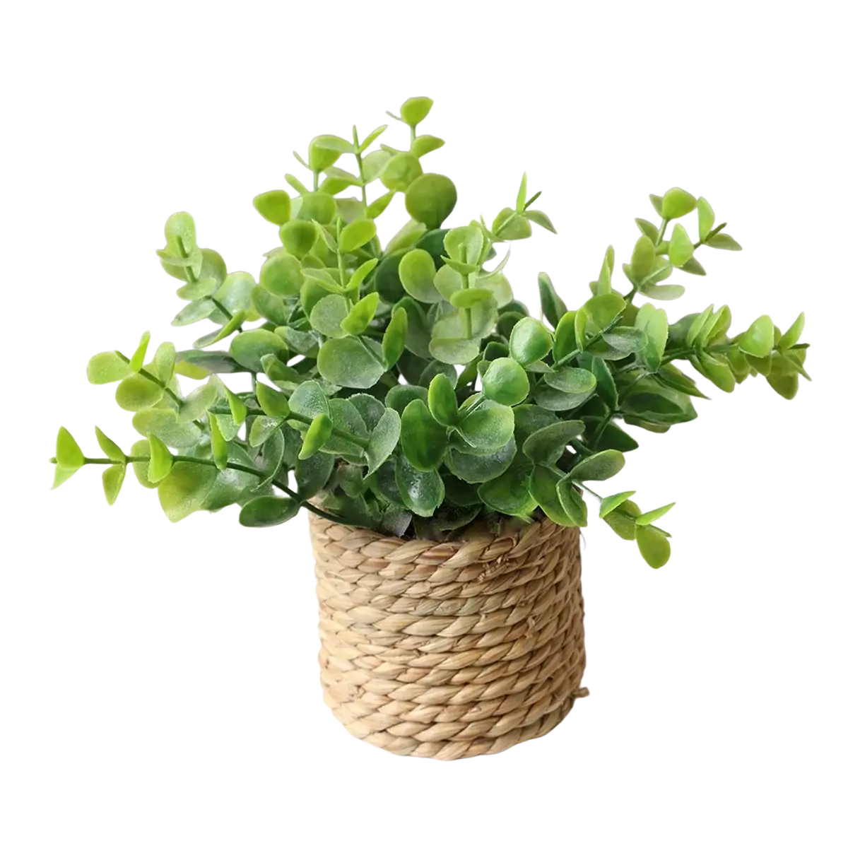 A lush artificial eucalyptus plant with green leaves in a woven natural fiber pot small potted plants decor