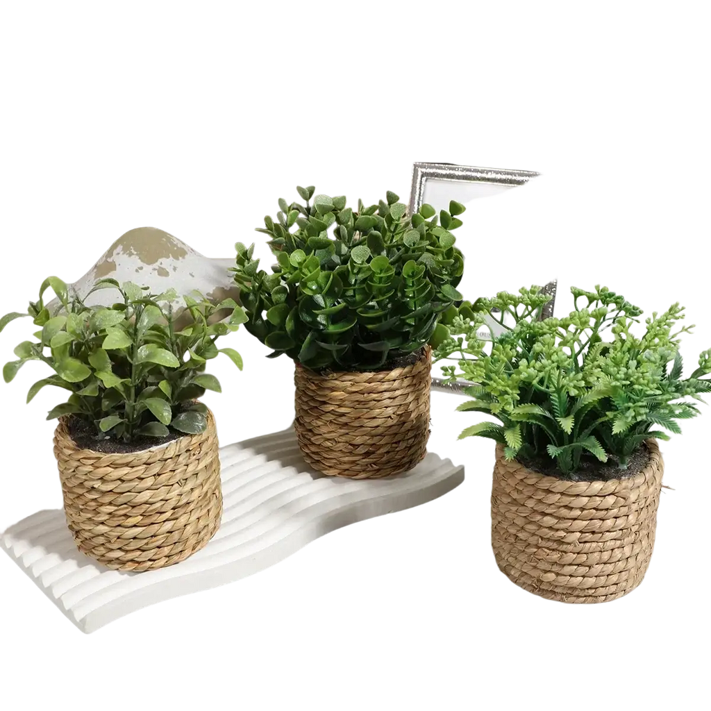 Three small potted artificial plants featuring green eucalyptus flowers in woven natural fiber pots with distinct leaves