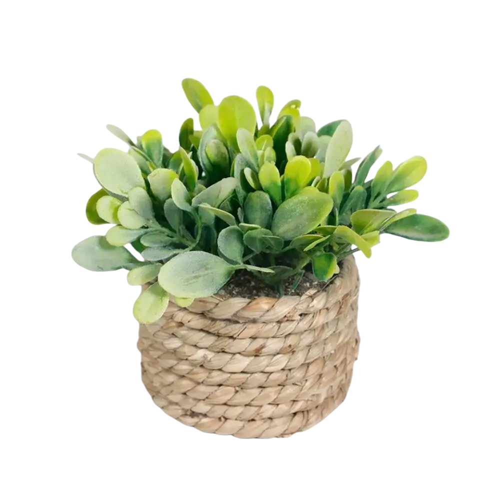 A compact woven natural fiber pot with a lush artificial potted plant eucalyptus grass 11cm with variegated leaves