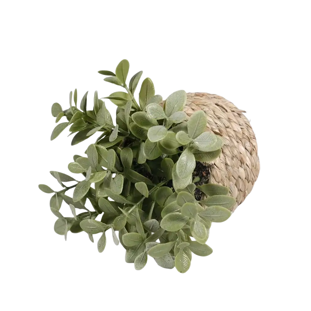 Artificial potted plant eucalyptus grass with lush green leaves in a natural woven basket 11cm tall