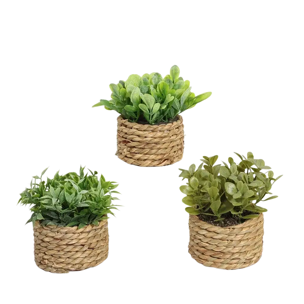 Three woven natural fiber planters each holding a lush green artificial potted plant eucalyptus grass 11cm