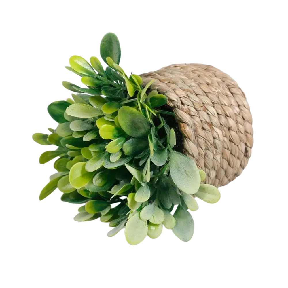 A woven beige basket artificial potted plant with lush green eucalyptus grass 11cm for indoor decor