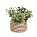 A small woven natural fiber planter holding a lush green artificial potted plant eucalyptus grass 11cm
