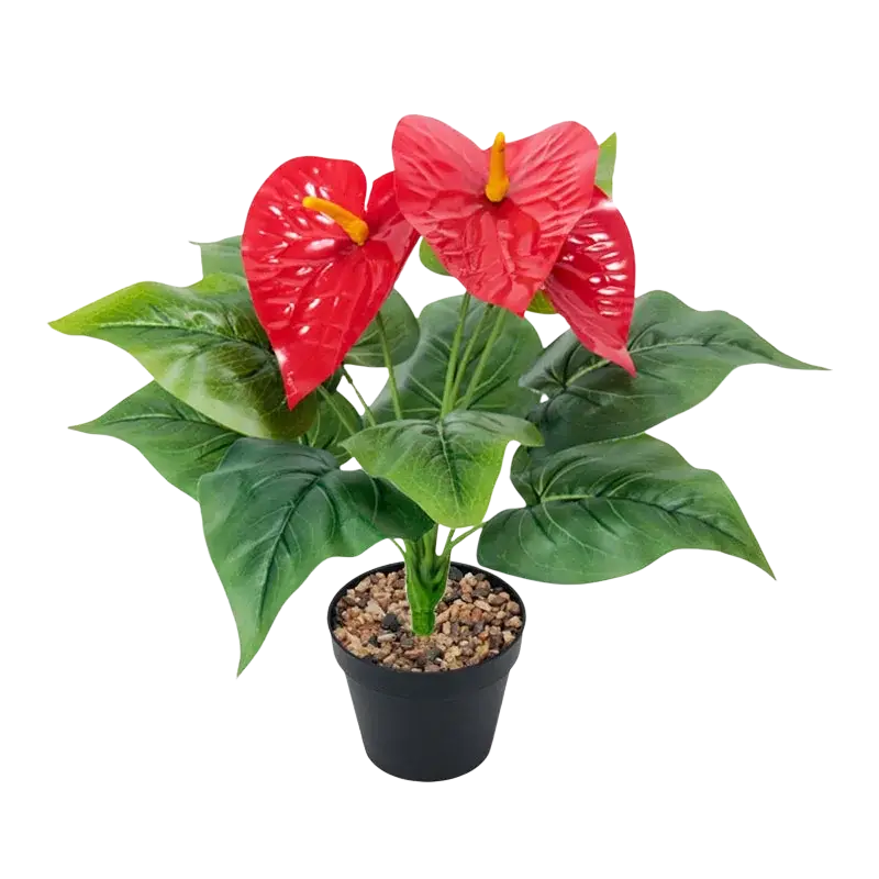 Artificial red anthurium potted plant with vibrant red flowers, glossy leaves, yellow spadix in black container with gravel
