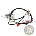 Atv wiring harness with black insulated wiring and multiple colored wires and white plastic connectors for off-road use
