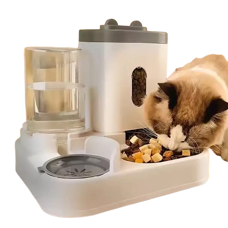 White and gray automatic dog bowl with water dispenser featuring a transparent reservoir for convenient meal delivery