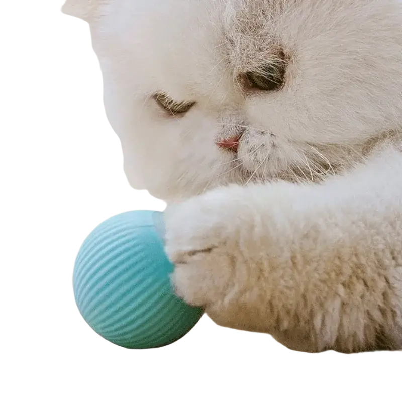 Teal ribbed silicone automatic interactive smart cat ball toy designed for engaging pet play and exercise