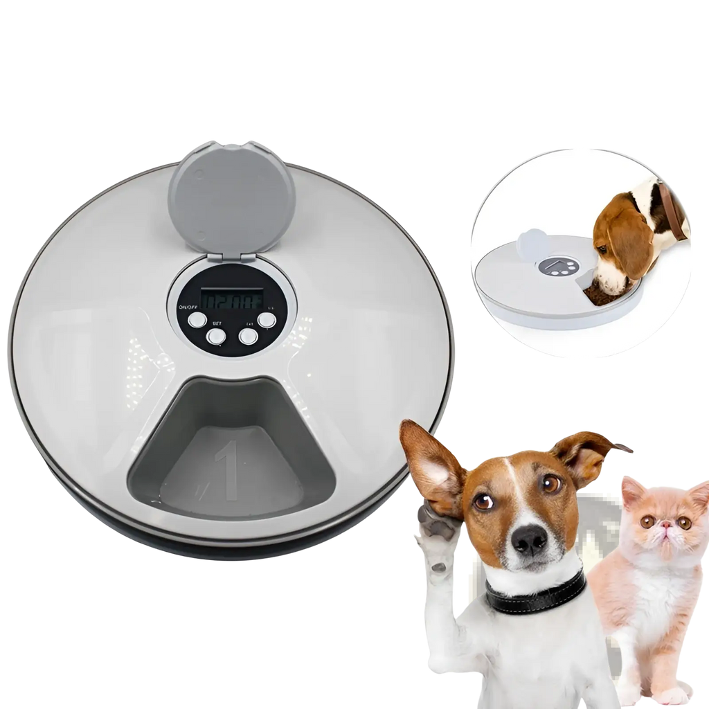 Gray automatic pet feeder with digital display, control buttons, hinged lid, and food compartment for dogs and cats