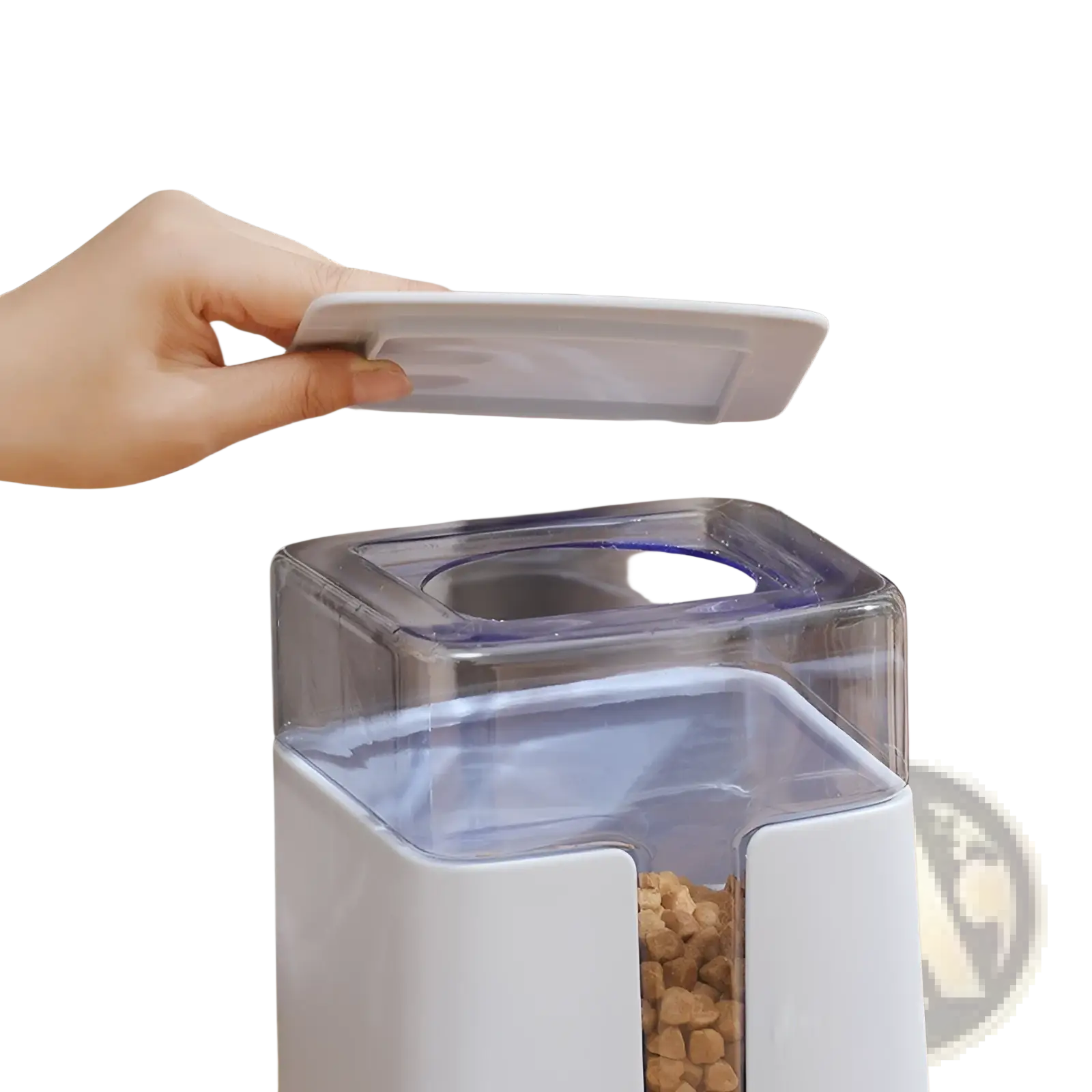 Automatic pet feeder and water dispenser in white plastic with transparent top and blue-rimmed kibble opening