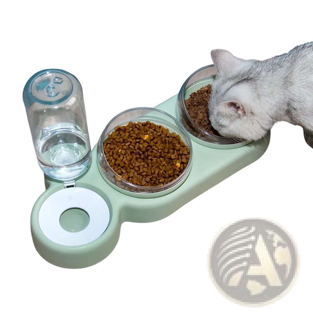 Mint green plastic automatic pet feeder with two glass bowls and water bottle attachment for feeding and hydration