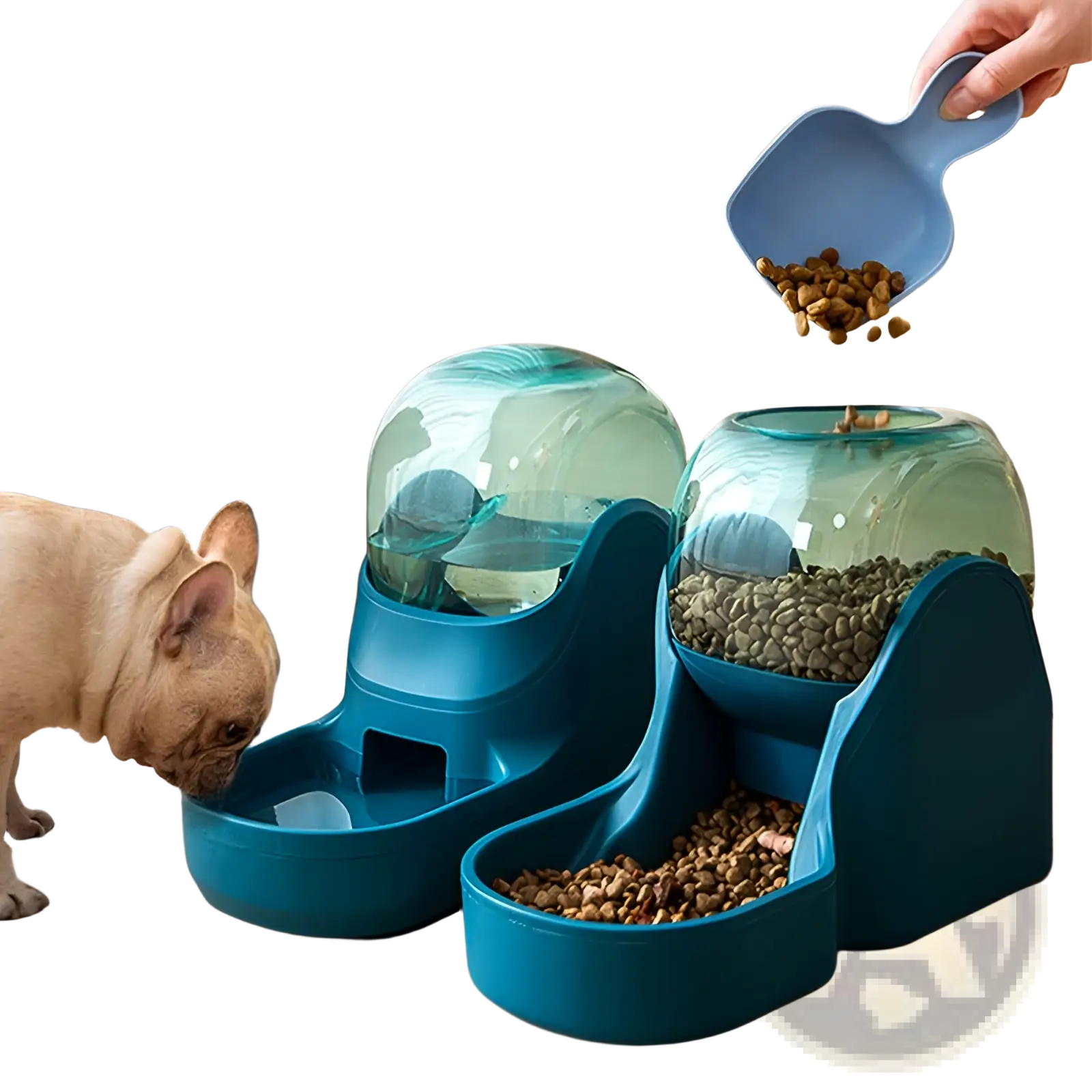 Blue automatic pet water dispenser and food feeder station with transparent dome and dual food and water compartments