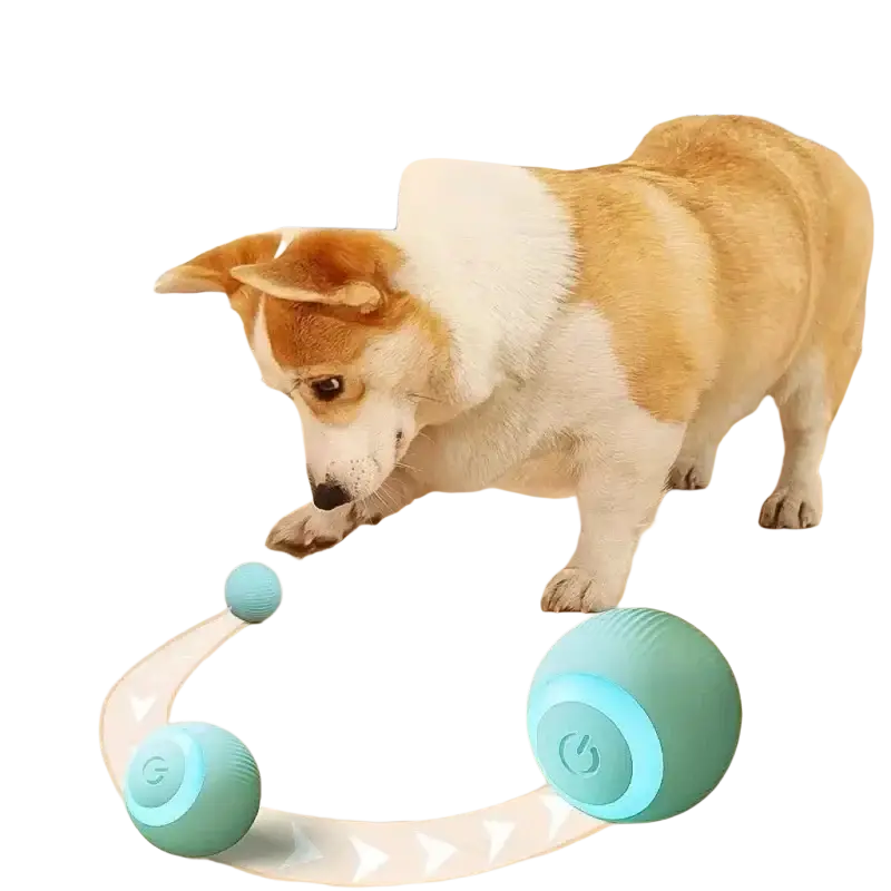 Teal automatic rolling interactive cat toy ball with glowing blue button and textured surface for pet play