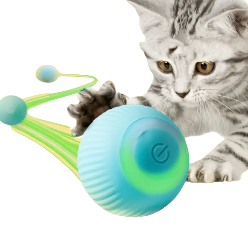A teal and green ribbed automatic rolling interactive cat toy ball with a power button on its surface