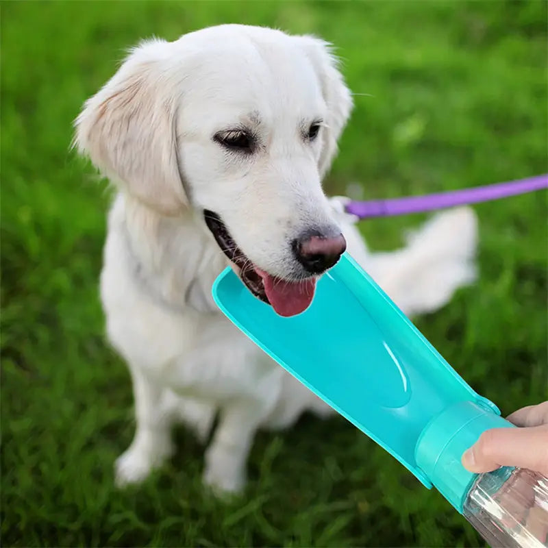 ターコイズ色のプラスチック製で、透明なリザーバーと注ぎ口を備えた携帯用犬用ウォーターボトル550ml折りたたみ式ペットトラベルカップ。飲みやすさを重視して設計されています。