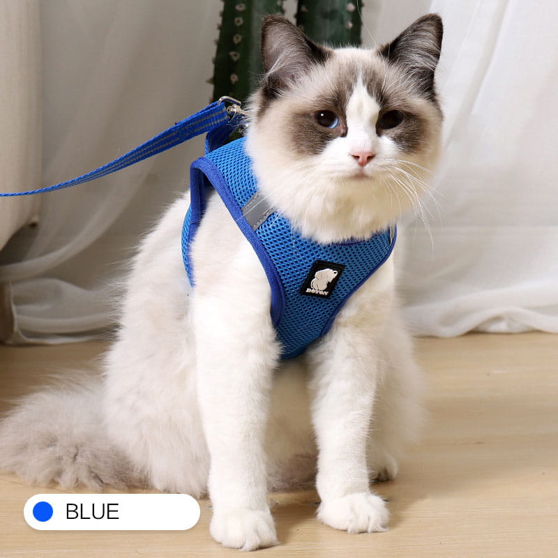 Blue mesh cat harness with adjustable straps and a reflective patch designed for anti-strike pet walking.