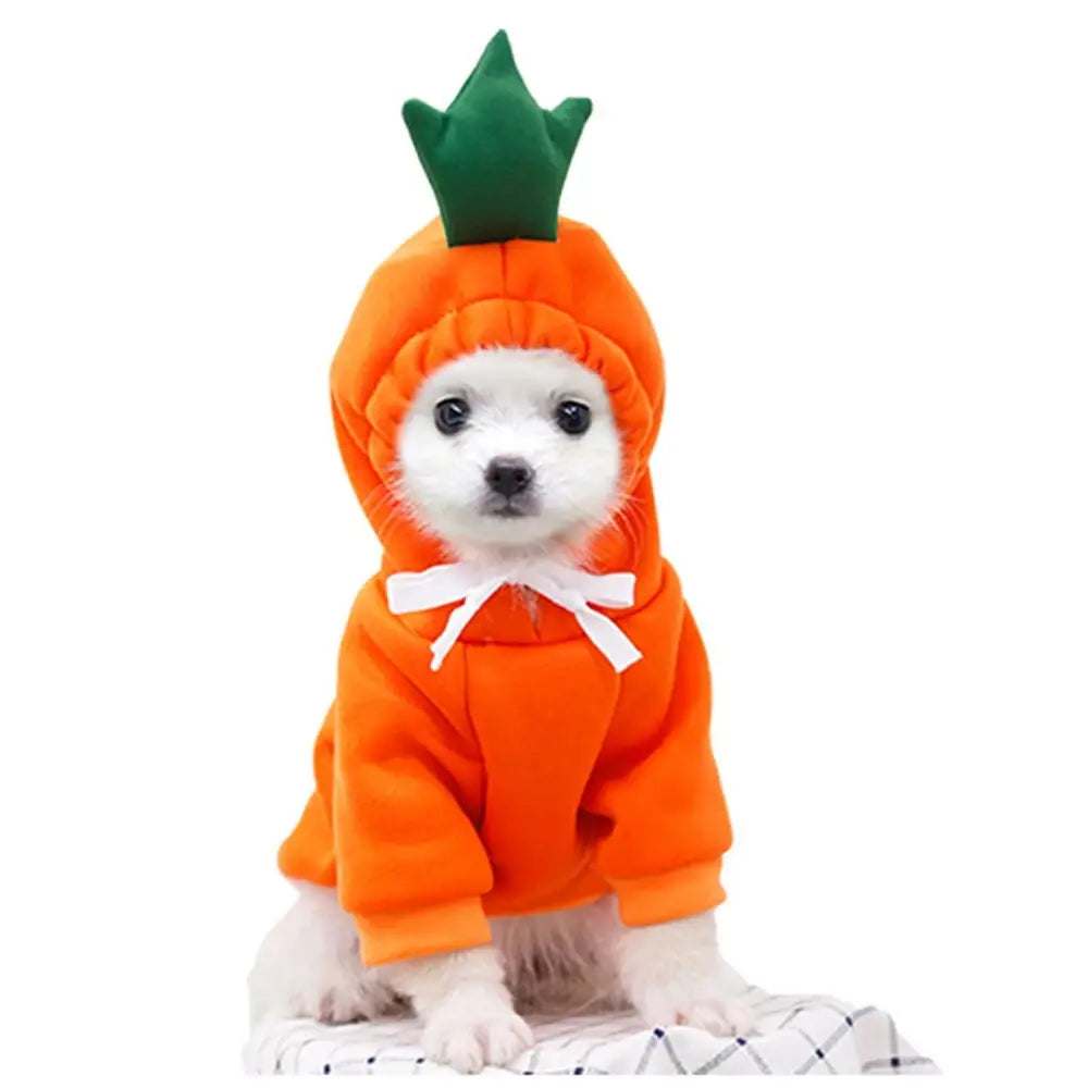 Sudadera con capucha de perro de fruta, abrigo de forro polar cálido para el invierno, ropa para cachorro