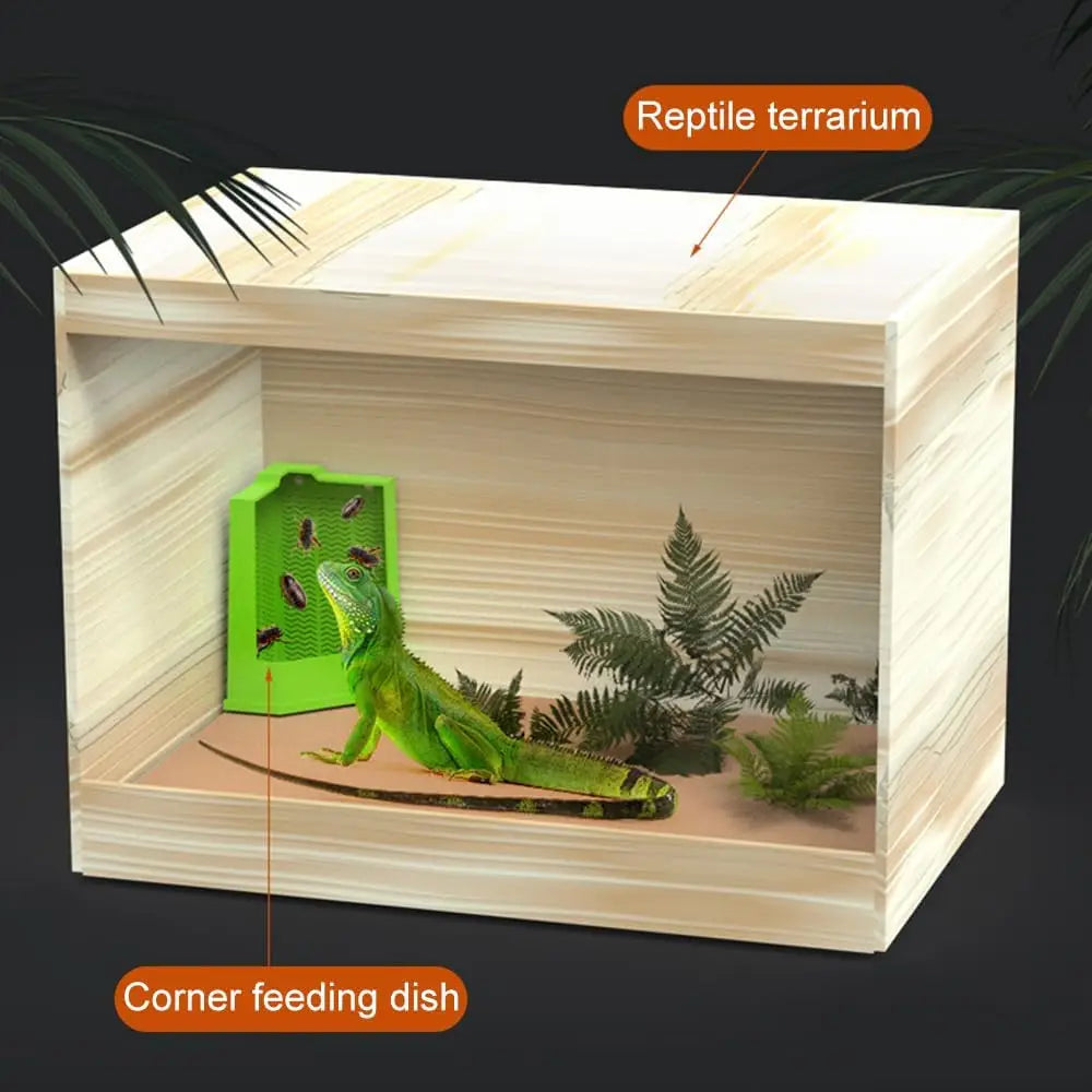 Echsenbärtchen-Eckfutter mit Saugnäpfen, die innen an einem hellen Holz-Terrariengehäuse für Reptilien befestigt sind, mit einer grünen Leguanart und künstlichen Pflanzen