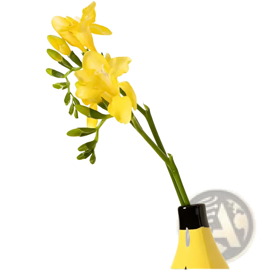 Yellow ceramic banana-shaped vase with black rim holding yellow freesia flowers for home decor display