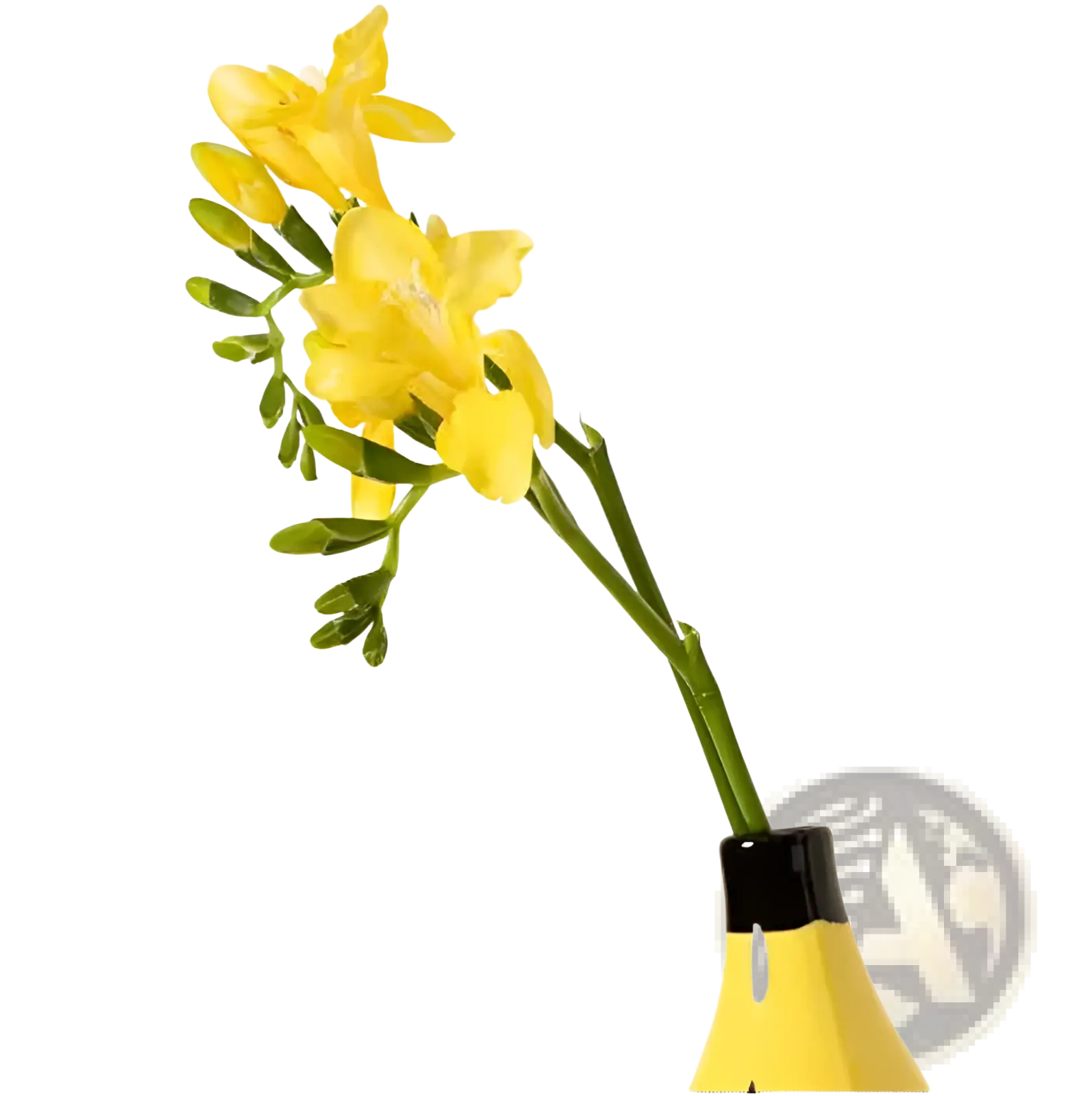 Yellow ceramic banana-shaped vase with black rim holding yellow freesia flowers for home decor display