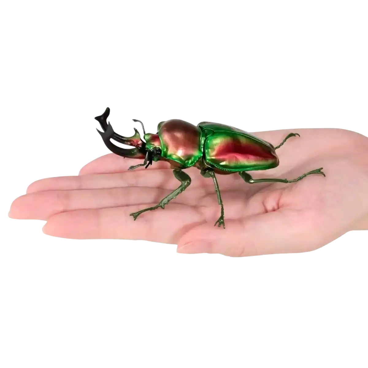 Bandai stag beetle finished goods model toy featuring a glossy iridescent green and copper figurine with black antlers