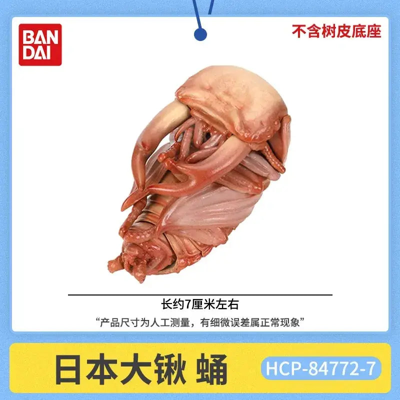 Bandai finished goods stag beetle model toy in translucent pinkish-orange plastic with detailed giant isopod anatomy