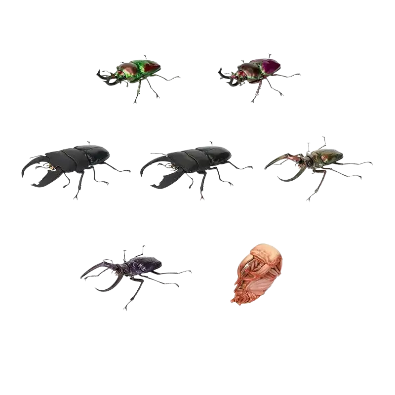 Bandai stag beetle finished goods model toy set of seven detailed metallic green purple and black figurines