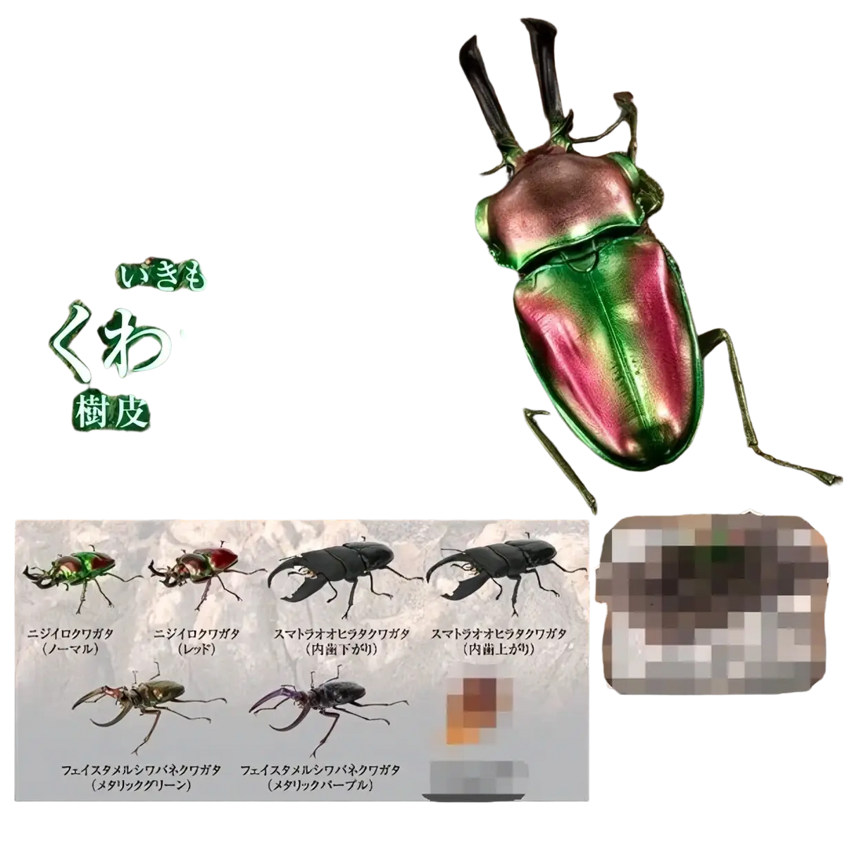 Bandai stag beetle finished goods model toy with iridescent green and pink metallic glossy exoskeleton