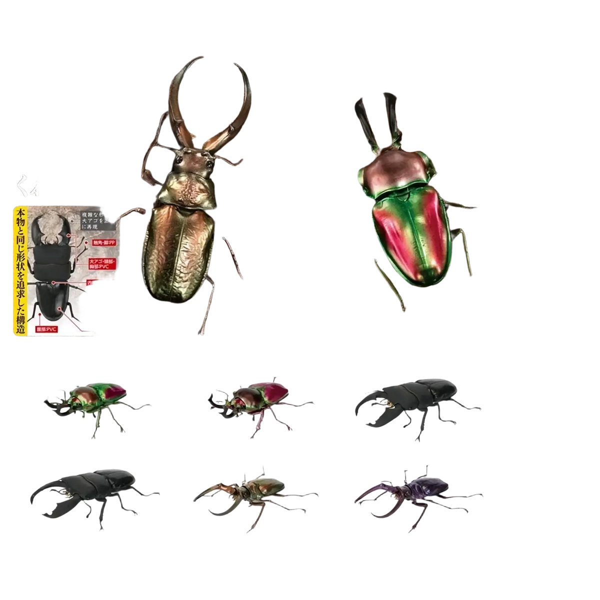 Iridescent green and red metallic-coated stag beetle finished goods model toy by Bandai collectible figurines