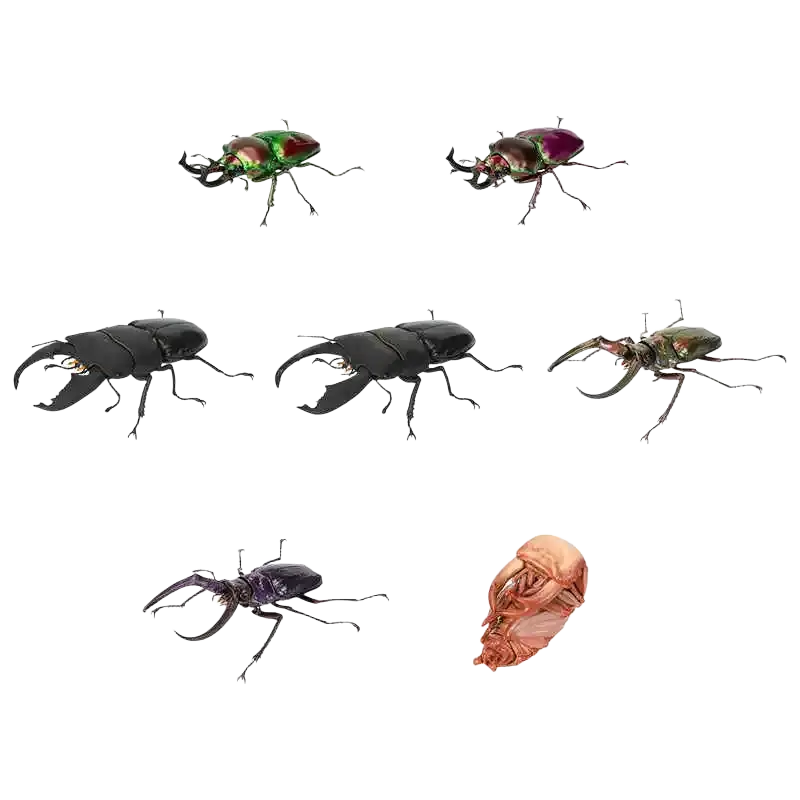 Set of six iridescent Bandai stag beetle finished goods model toys in metallic green and purple hues