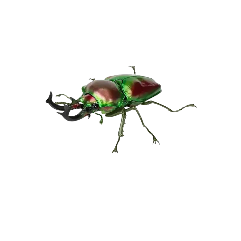 Bandai stag beetle finished goods model toy featuring a vibrant iridescent green and red metallic figurine with black horns