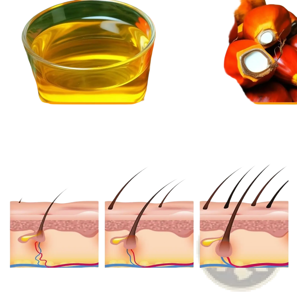 A clear glass bowl of golden-yellow batana oil surrounded by red palm fruits for batana oil hair mask 120g natural honduras formula