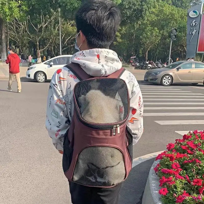Maroon and black dog carrier backpack with breathable mesh panels for small pet travel shown from the back.