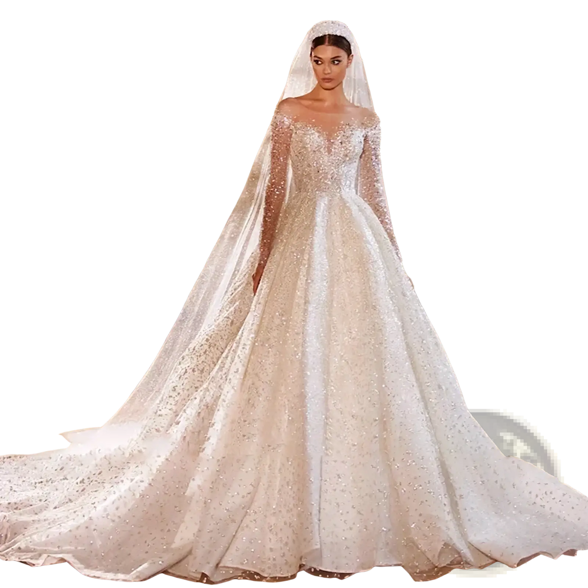 A beaded ball gown wedding dress in sparkling ivory with long sheer sleeves and a flowing train