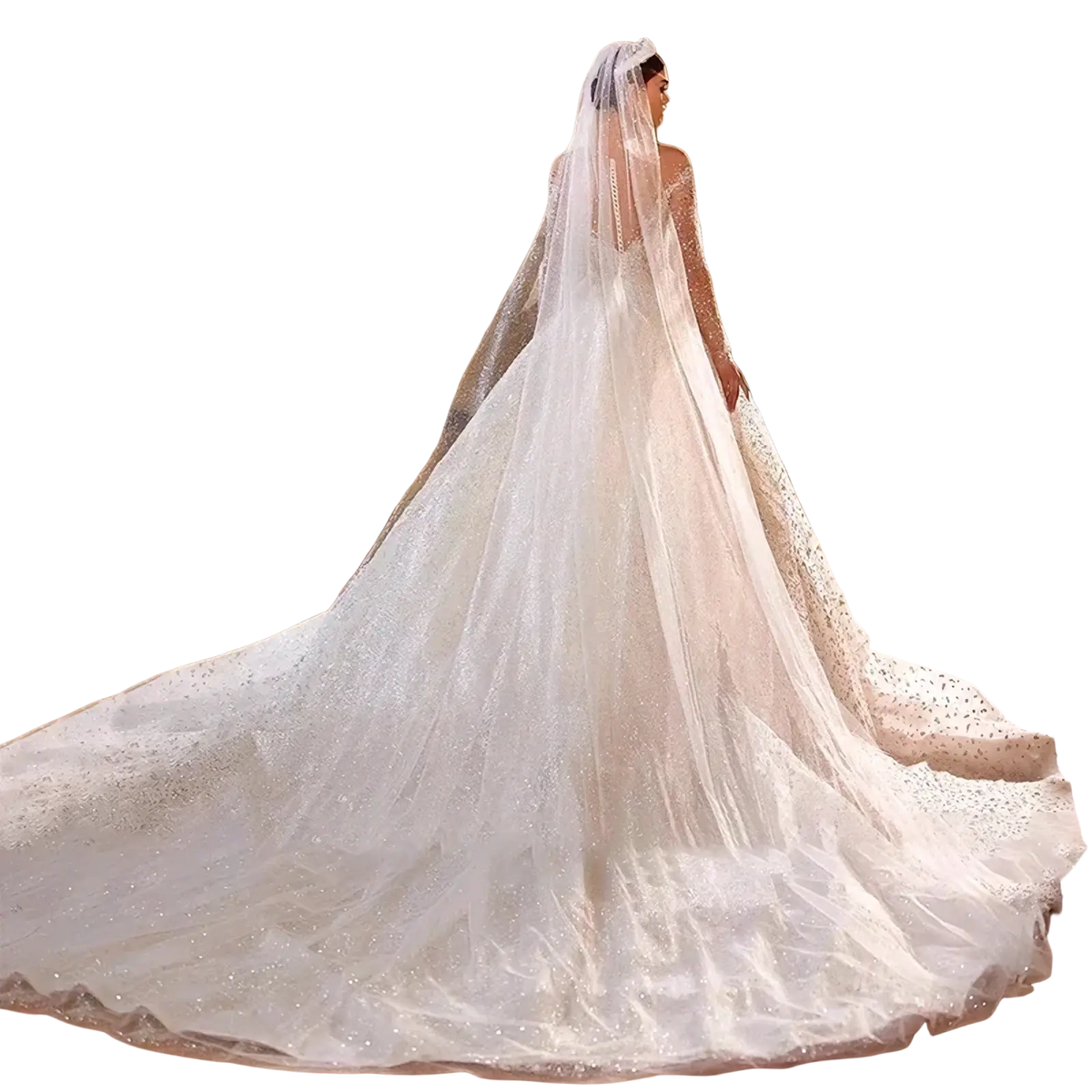 A flowing white beaded ball gown wedding dress with long sleeves and a lace detailed veil draped over the bride’s shoulders