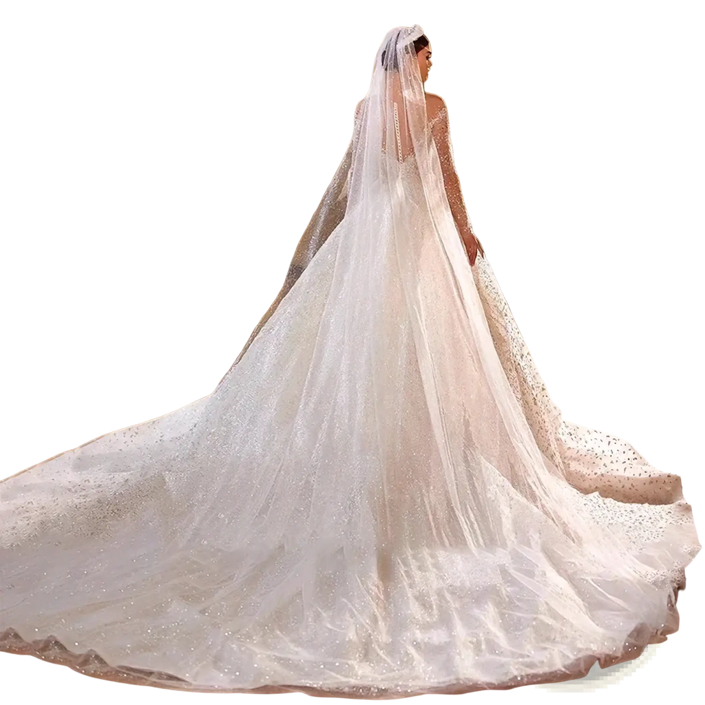 A flowing white beaded ball gown wedding dress with long sleeves and a lace detailed veil draped over the bride’s shoulders
