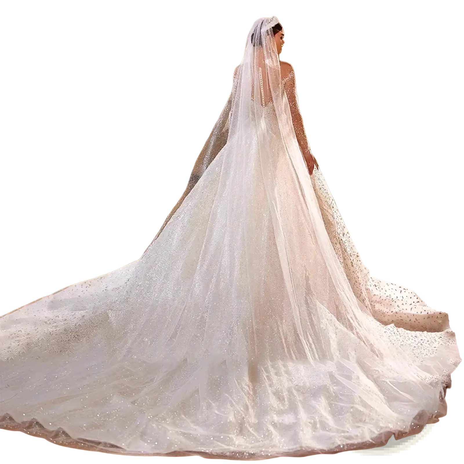 A flowing white beaded ball gown wedding dress with long sleeves and a lace detailed veil draped over the bride’s shoulders