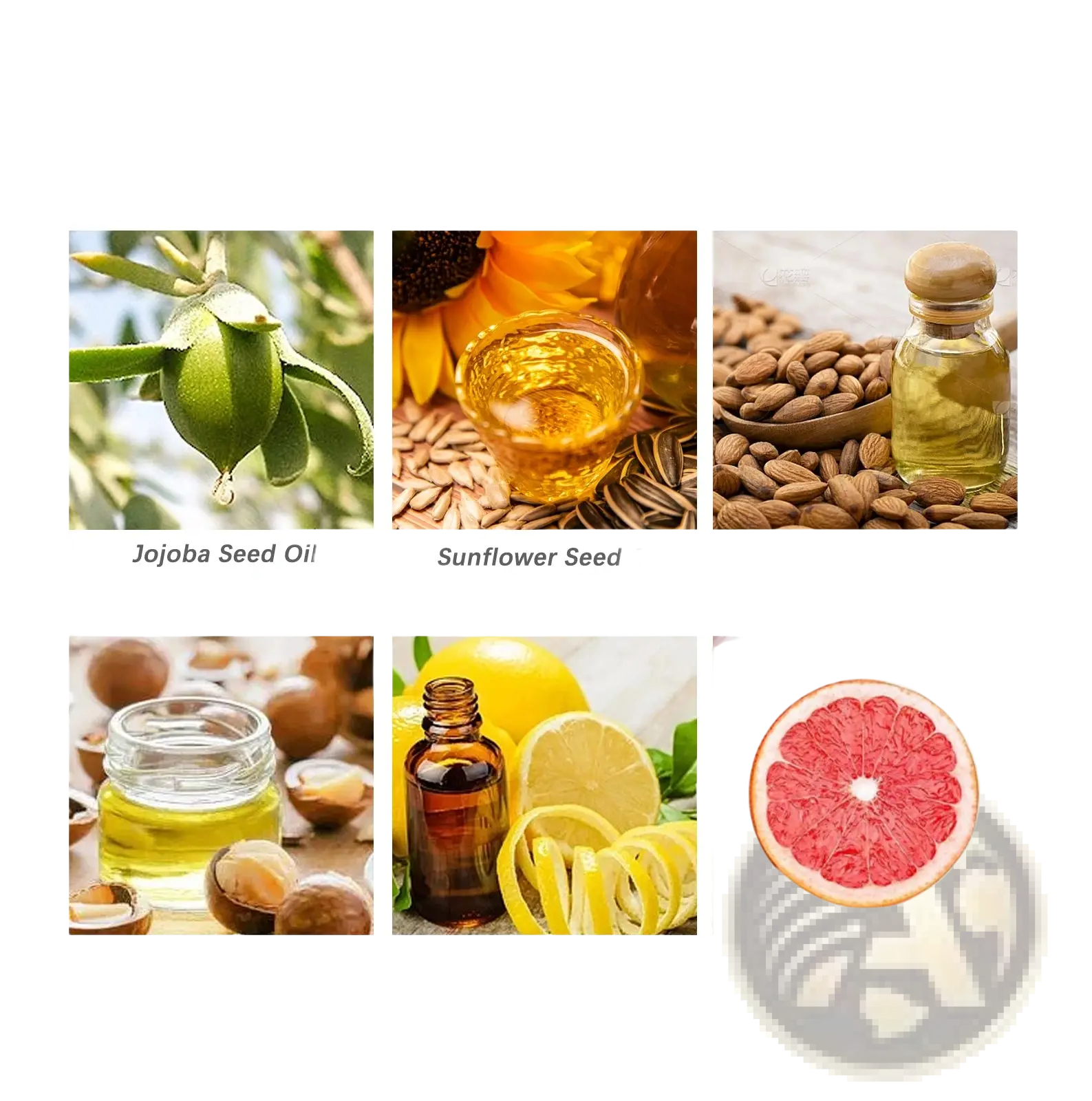 Beard care oil moisturizing men’s styling treatment featuring jojoba seed oil sunflower seed oil almond oil argan oil lemon peel oil and grapefruit oil ingredients displayed in six images grid