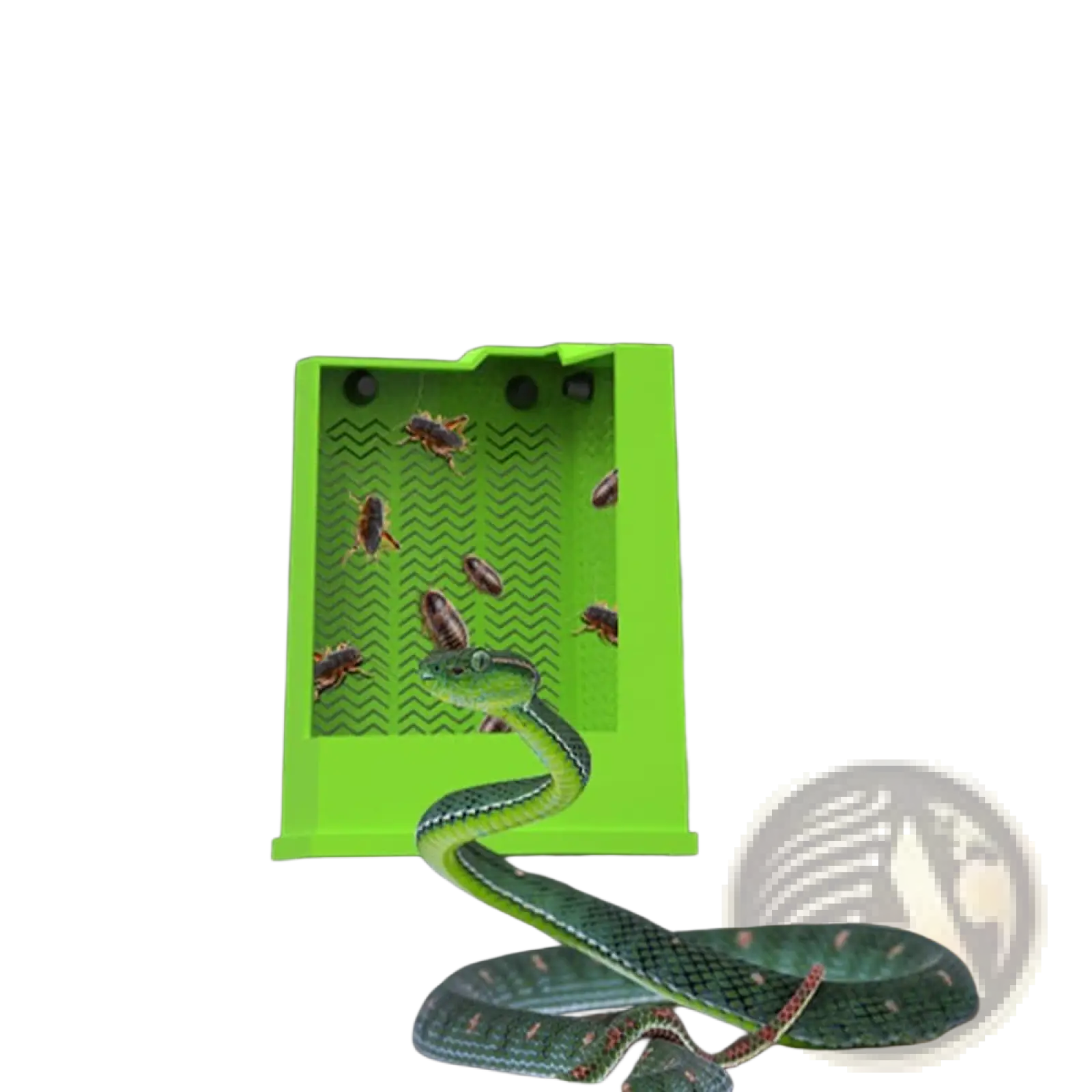 Bright green right-angle corner insect trap with suction cups for bearded dragon terrariums