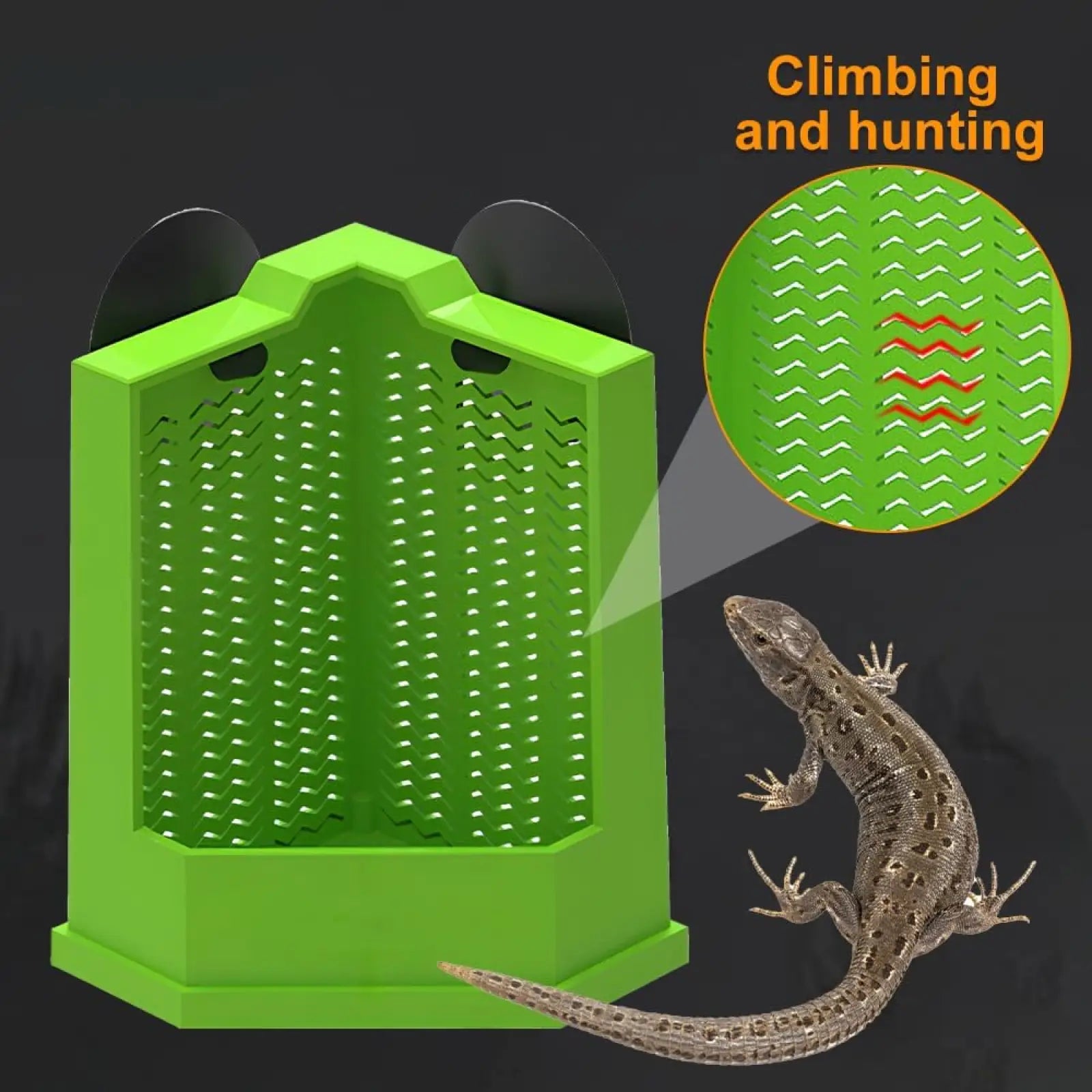 Bright green plastic bearded dragon corner feeder with suction cups and textured wavy interior with two black openings