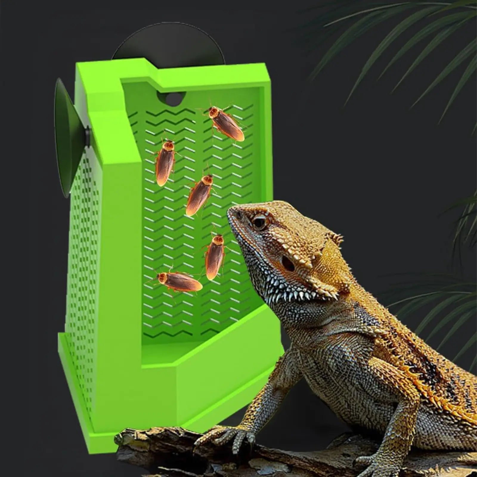 Bright green plastic bearded dragon corner feeder with perforated design and suction cups for secure attachment