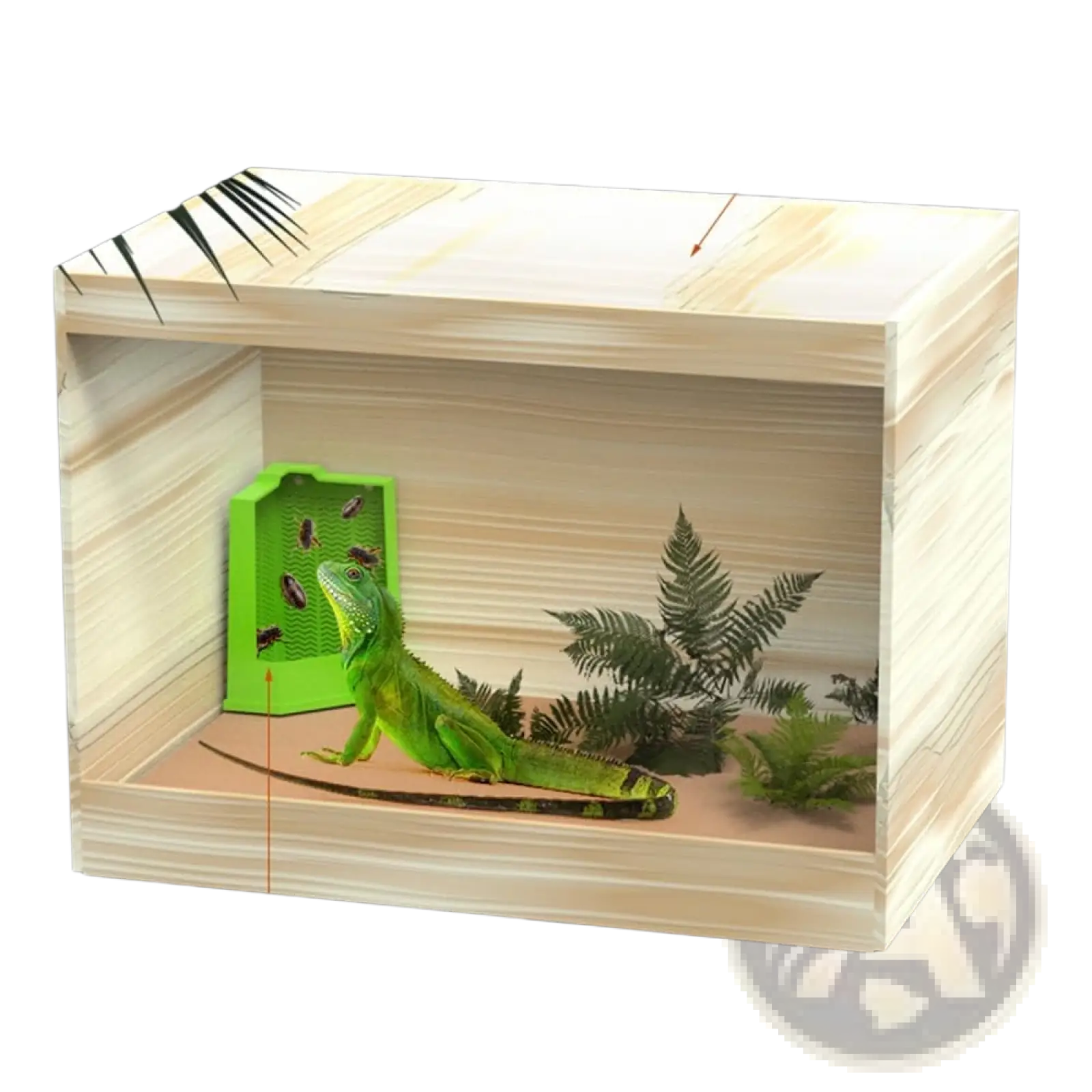 Bearded dragon corner feeder with suction cups attached inside a light-colored wooden reptile terrarium with a green iguana and artificial plants